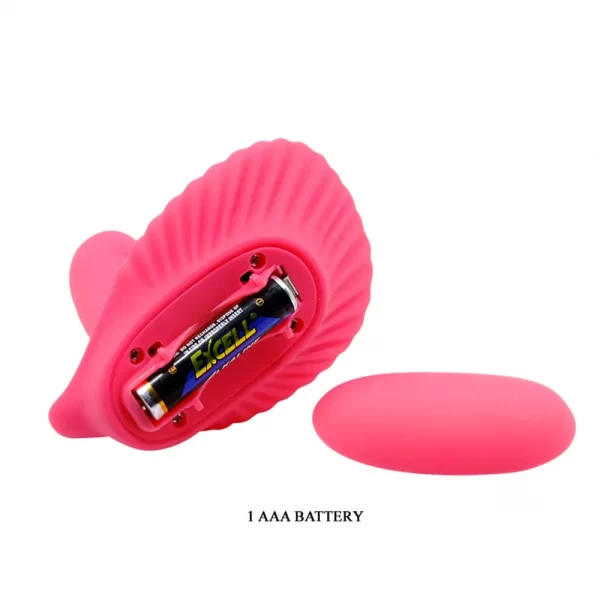 FANCY CLAMSHELL - Imagen 3