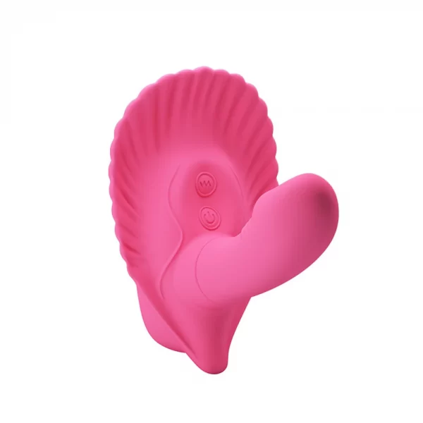 FANCY CLAMSHELL - Imagen 2