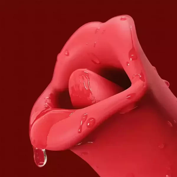 ESTIMULADOR ORAL BOCA VIBRADOR ESTIMULADOR DE CLITORIS USB - Imagen 2
